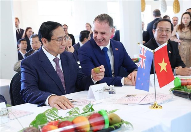 Vietnam espera gran avance en cooperacion agricola con Nueva Zelanda hinh anh 1
