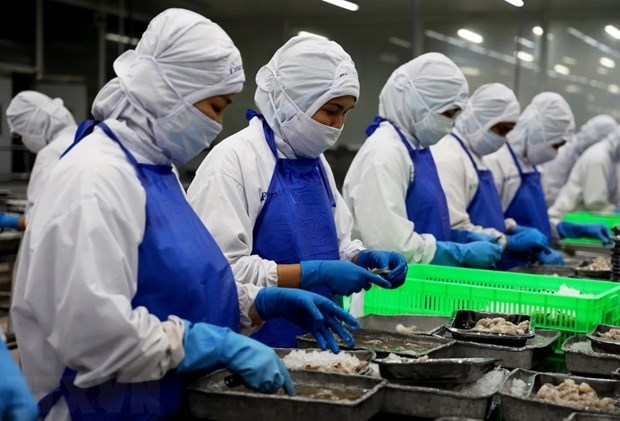 Exportaciones de productos acuicolas de Vietnam crecen 47% hinh anh 1