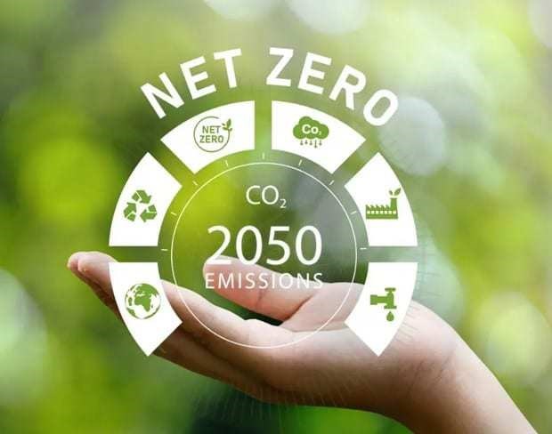 Hora del Planeta 2024: alcanzar objetivo de cero emisiones netas para 2050 hinh anh 1
