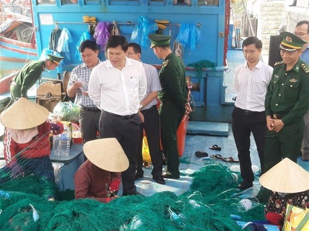 Quang Ngai toma medidas energicas contra la pesca ilegal hinh anh 1