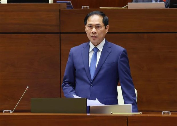 Parlamento vietnamita realiza interpelaciones sobre asuntos de diplomacia hinh anh 2