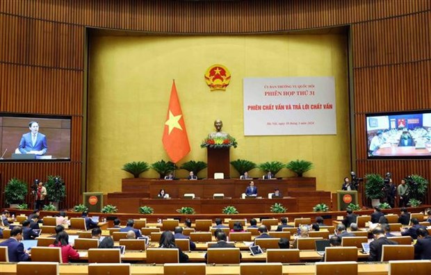 Parlamento vietnamita realiza interpelaciones sobre asuntos de diplomacia hinh anh 1