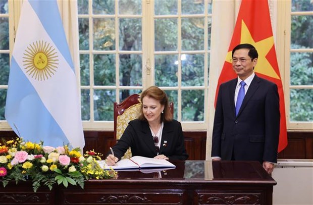 Vietnam aprecia la tradicional amistad y asociacion integral con Argentina, afirma canciller hinh anh 1