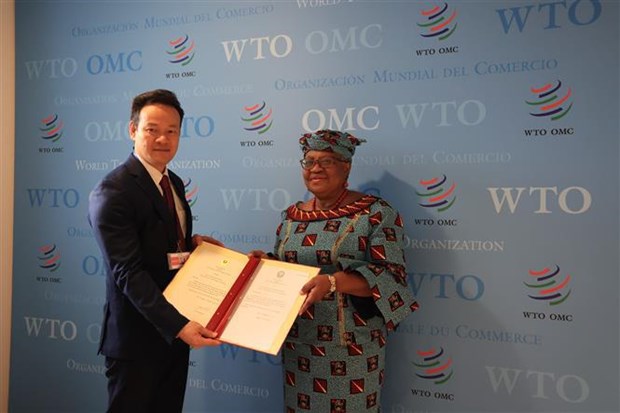 OMC reconoce contribuciones de Vietnam al sistema multilateral de comercio hinh anh 1