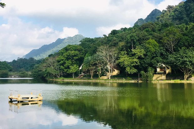 Parque nacional de Vietnam promueve conservacion de biodiversidad hinh anh 2