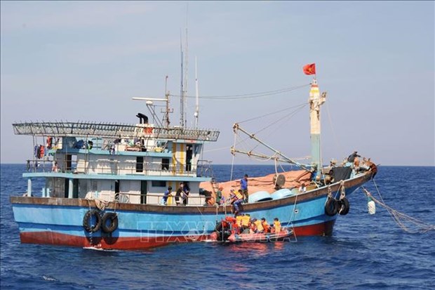 Provincias vietnamitas trabajan duro para combatir la pesca ilegal hinh anh 1