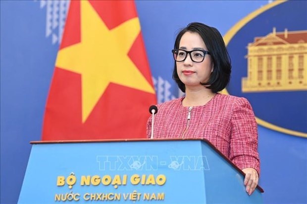 Vietnam rechaza reclamaciones ilegales en el Mar del Este hinh anh 1