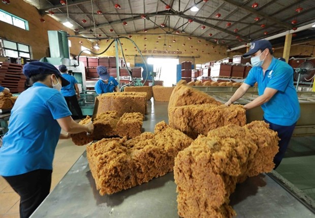 Vietnam obtiene 160 millones de dolares por exportaciones de caucho hinh anh 1