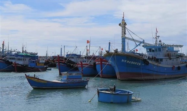Provincia vietnamita impulsa propaganda sobre pesca ilegal hinh anh 1