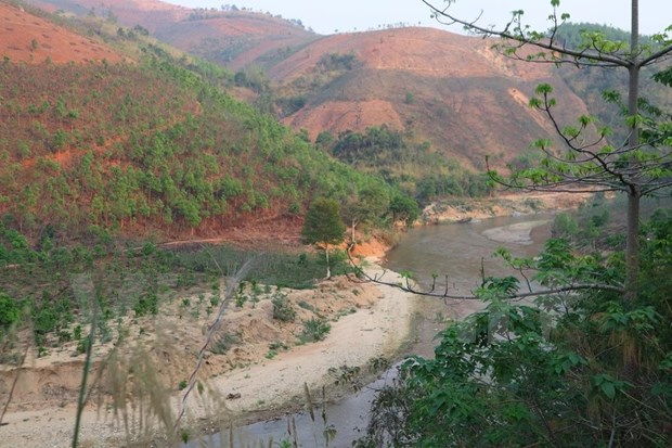 Vietnam tiene 14,86 millones de hectareas de bosques hinh anh 1