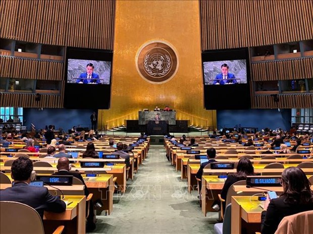 Asamblea General de ONU aprueba resolucion propuesta por Vietnam sobre el Dia Internacional del Juego hinh anh 1