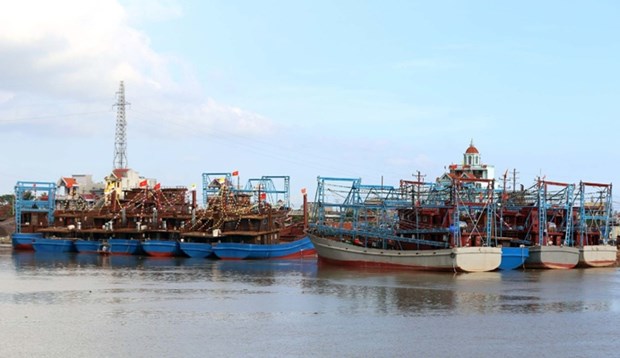 Provincia vietnamita de Nam Dinh intensifica lucha contra pesca ilegal hinh anh 1