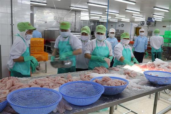 Superavit de productos agroforestales y pesqueros de Vietnam casi se duplica hinh anh 1