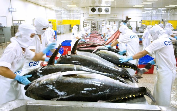 Exportaciones de atun de Vietnam demuestran senales positivas hinh anh 1