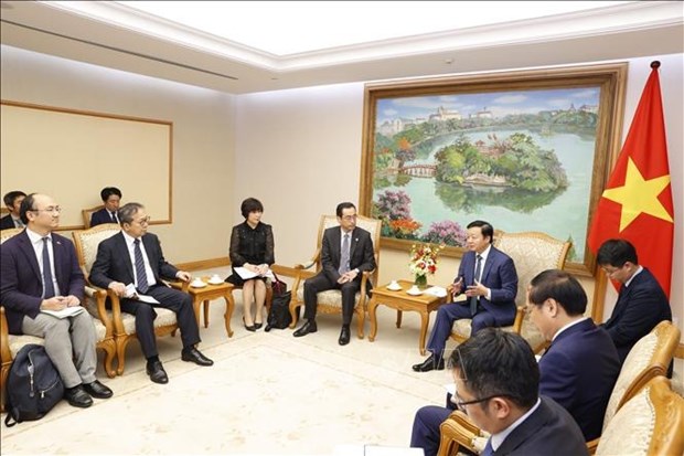 Vietnam y Japon promueven cooperacion en proyectos de transicion a energias verdes hinh anh 1