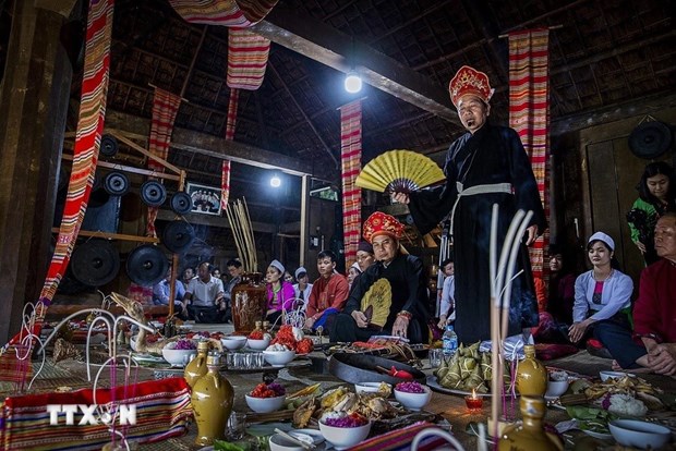 Vietnam presentara a UNESCO expedientes de patrimonios culturales intangibles hinh anh 1