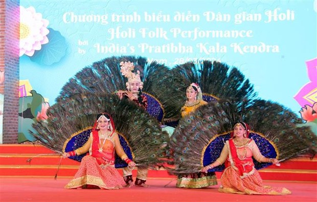 Celebracion india de Holi deleita al publico de provincia vietnamita hinh anh 1