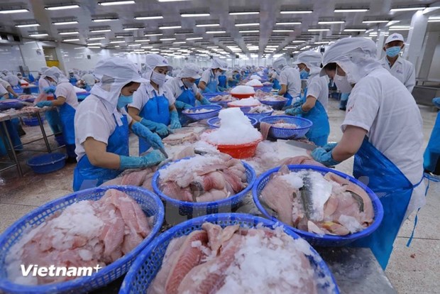 Vietnam por llevar al sector pesquero a desarrollo sostenible e integracion hinh anh 1