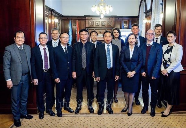 Oficinas estatales de auditoria de Vietnam y Hungria intensifican su cooperacion hinh anh 1
