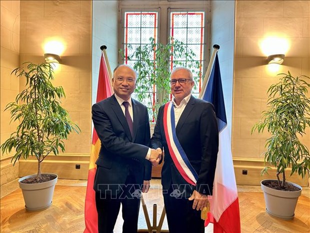 Ciudad francesa impulsa cooperacion con las localidades vietnamitas hinh anh 1