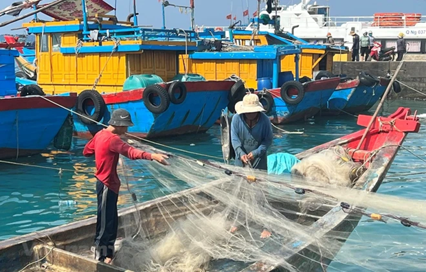Provincia vietnamita trabaja duro para combatir la pesca ilegal hinh anh 1