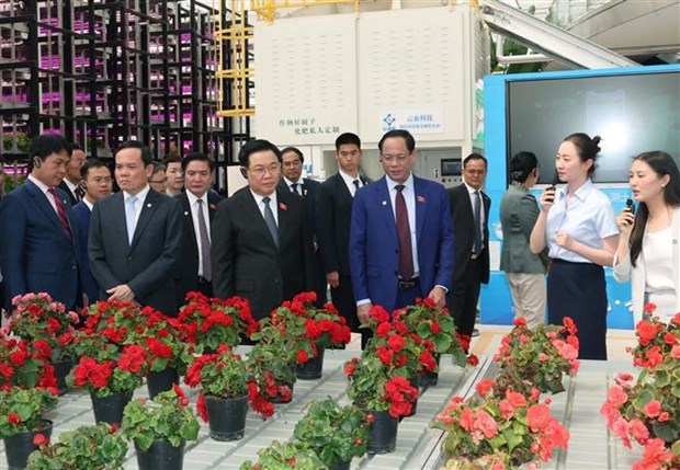 Presidente del Parlamento de Vietnam conoce modelos economicos de provincia de Yunnan hinh anh 1