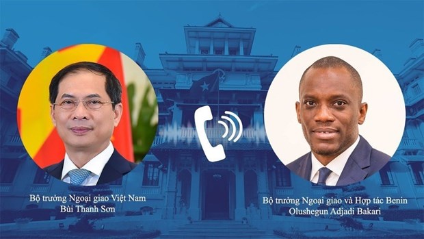 Vietnam y Benin estrechan relaciones bilaterales hinh anh 1