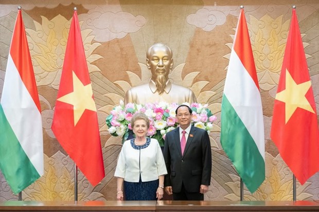 Mejoran implementacion de acuerdos sellados entre Vietnam y Hungria hinh anh 1