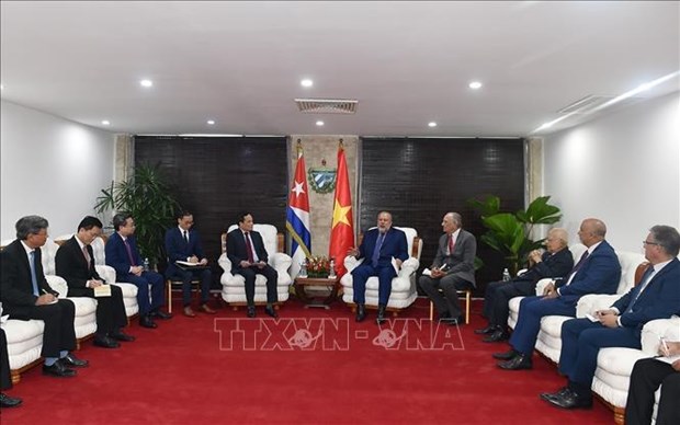 Cuba creara condiciones favorables para empresas vietnamitas, afirma su presidente hinh anh 2