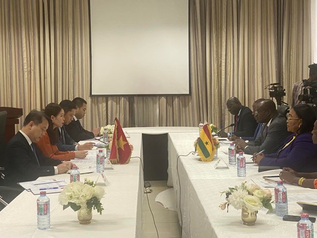 Buscan promover relaciones multifaceticas entre Vietnam y Ghana hinh anh 1