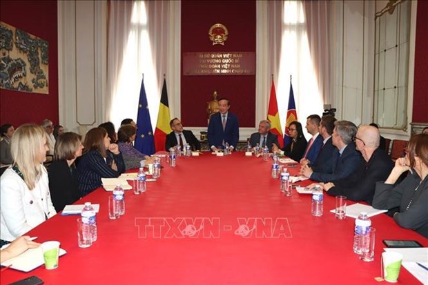 Cooperacion con Vietnam entre las prioridades de UE en Indo-Pacifico hinh anh 1