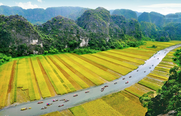 Google Arts & Culture destaca el complejo paisajistico Trang An de Vietnam hinh anh 1