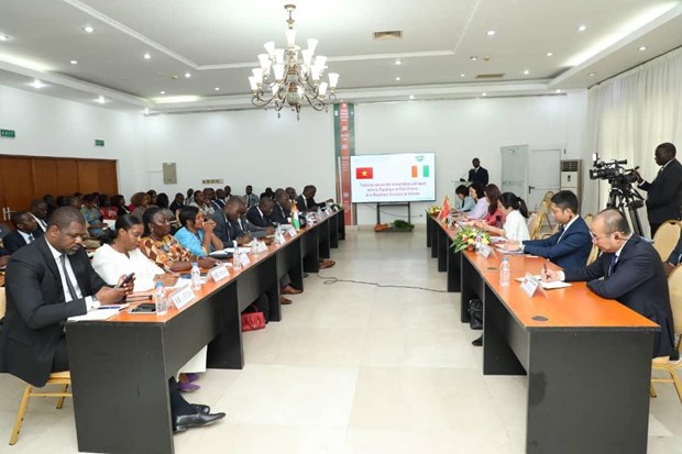 Vietnam da importancia a la promocion de cooperacion multifacetica con Costa de Marfil hinh anh 1