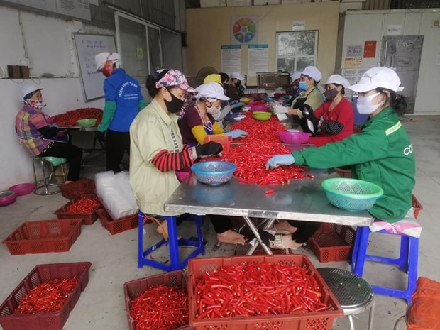 Empresas vietnamitas deben transformar modelo de negocios para adaptarse al periodo de pandemia hinh anh 1