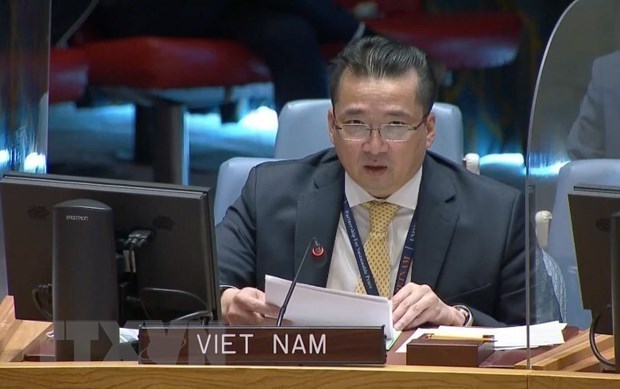 Vietnam apoya cooperacion entre CSNU y Consejo de Paz y Seguridad de UA hinh anh 1