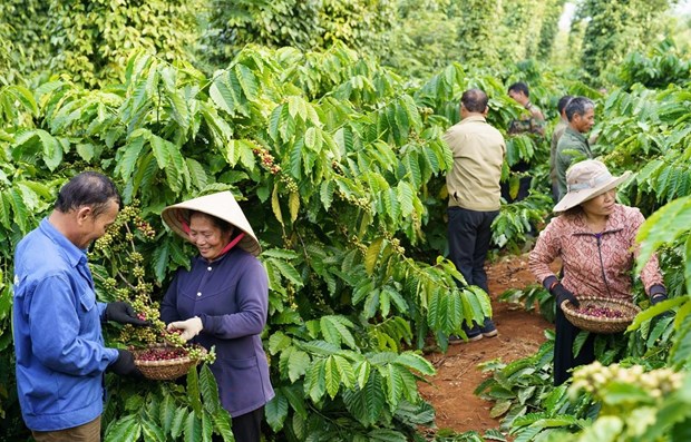 Exhortan a empresas vietnamitas a asumir ESG para su desarrollo sostenible hinh anh 1