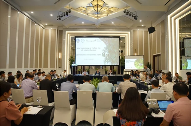 Vietnam recibe 41 millones de dolares por venta de creditos de carbono de bosques hinh anh 1
