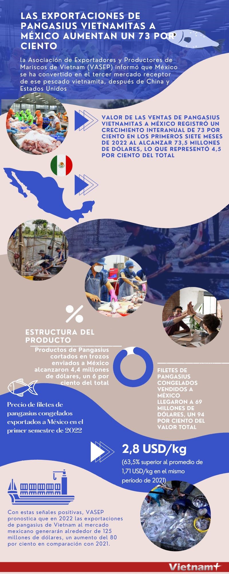 Exportaciones de pangasius vietnamitas a Mexico aumentan un 73 por ciento hinh anh 1