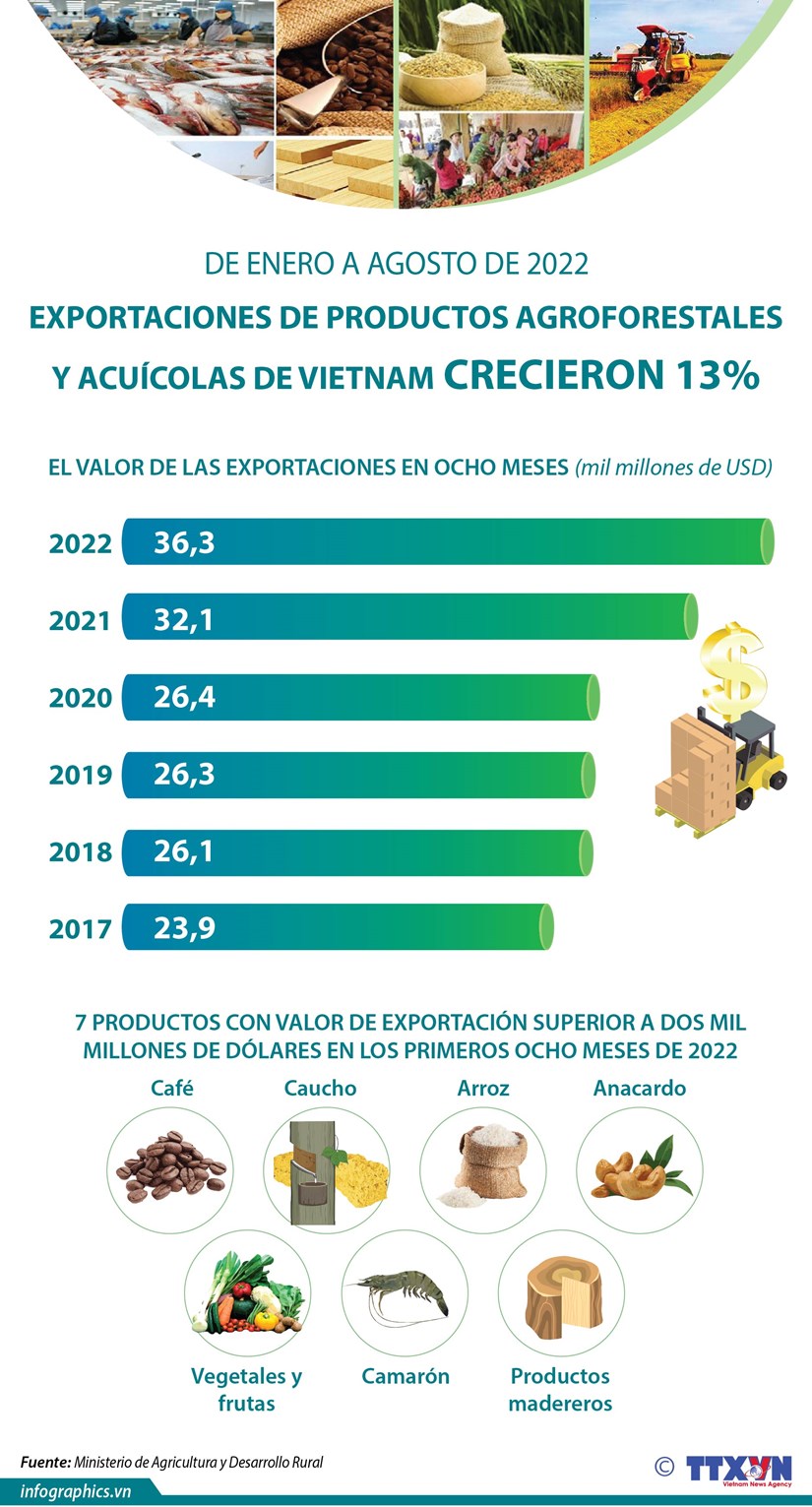 Exportaciones de productos agroforestales y acuicolas de Vietnam crecieron 13 por ciento hinh anh 1