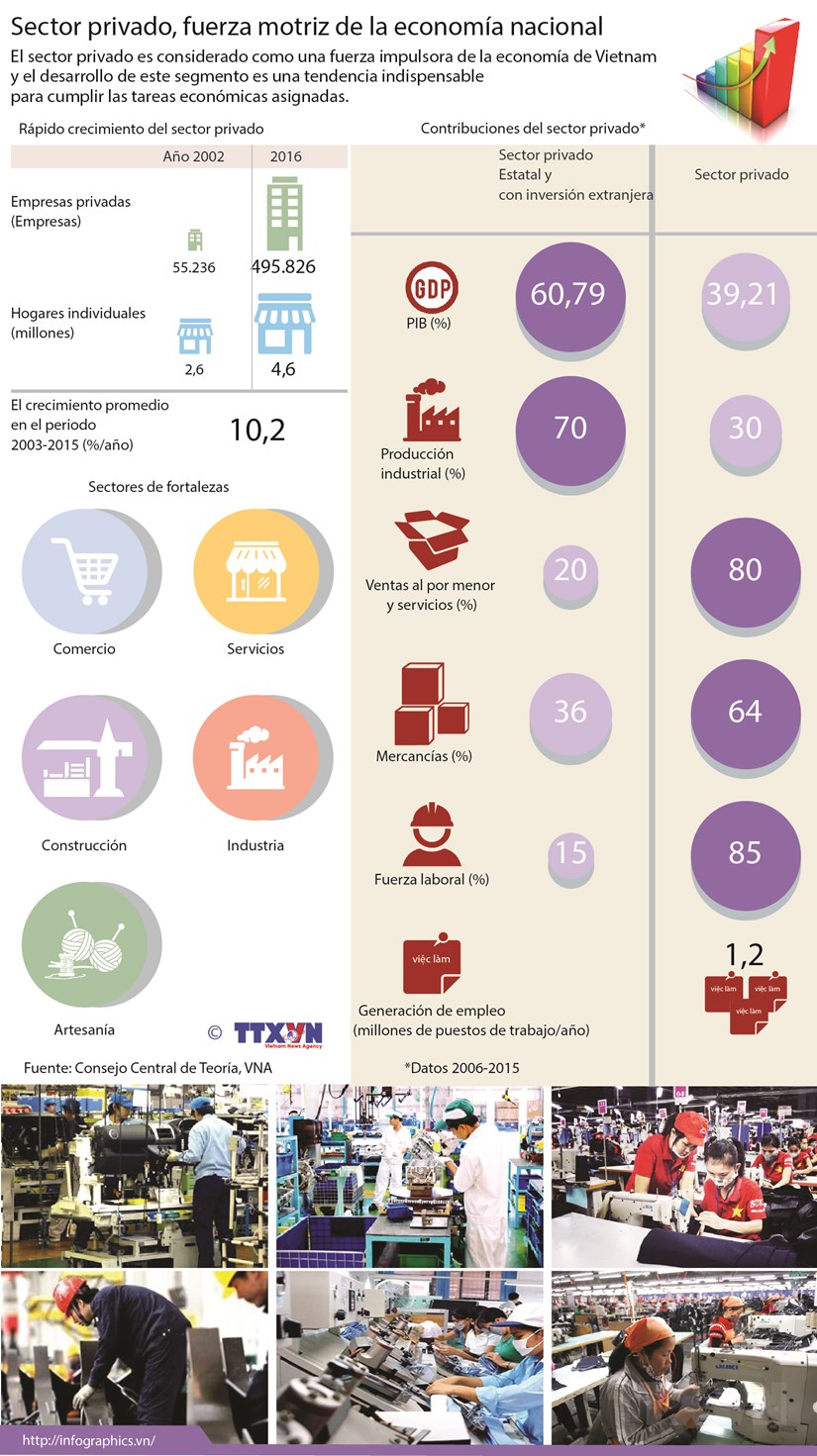 [Infografia] Sector privado, fuerza motriz de la economia nacional hinh anh 1