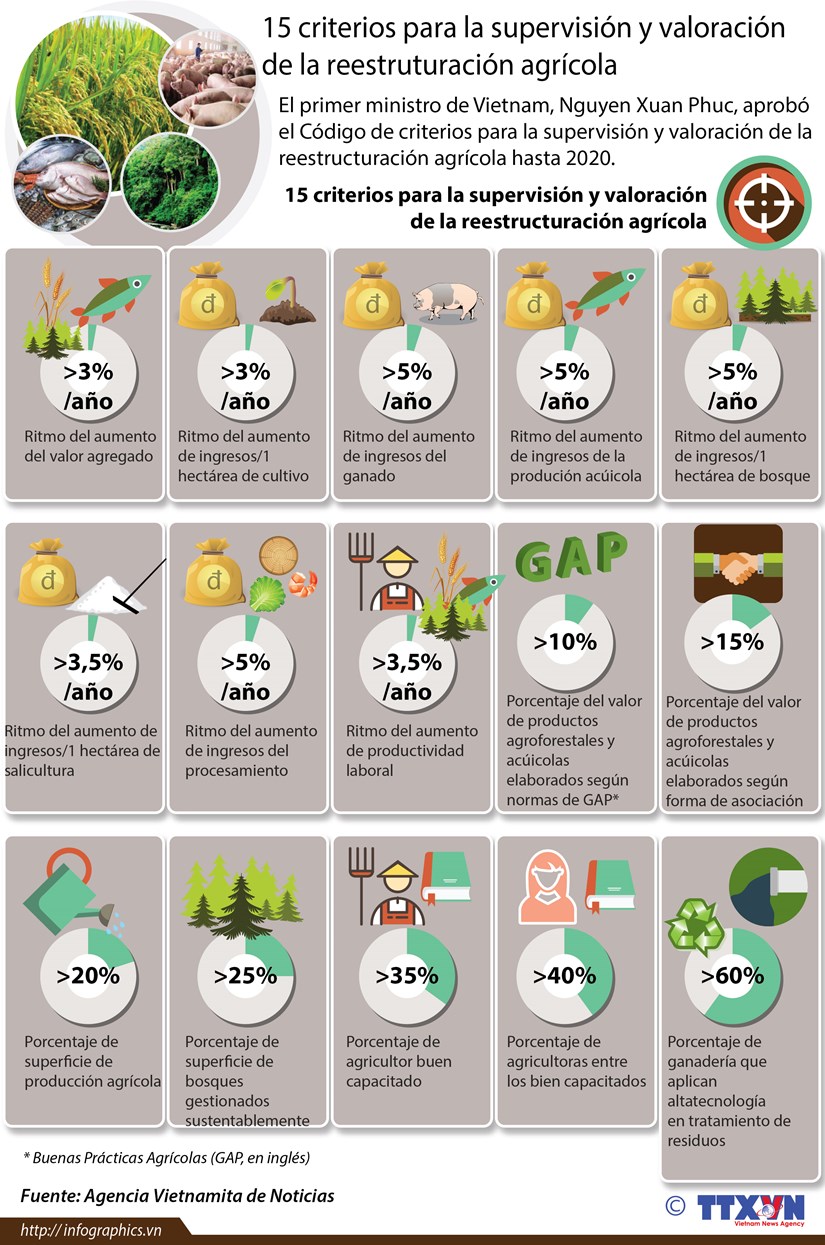 [Infografia] 15 criterios para la supervision y valoracion de la reestruturacion agricola hinh anh 1