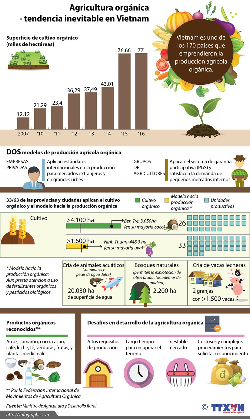 [Infografia] Agricultura organica-tendencia inevitable en Vietnam hinh anh 1