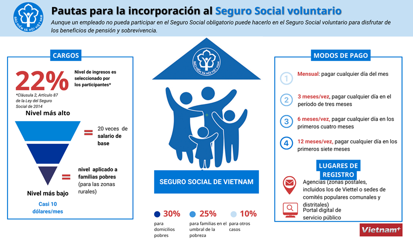Pautas para la incorporacion al Seguro Social voluntario hinh anh 1