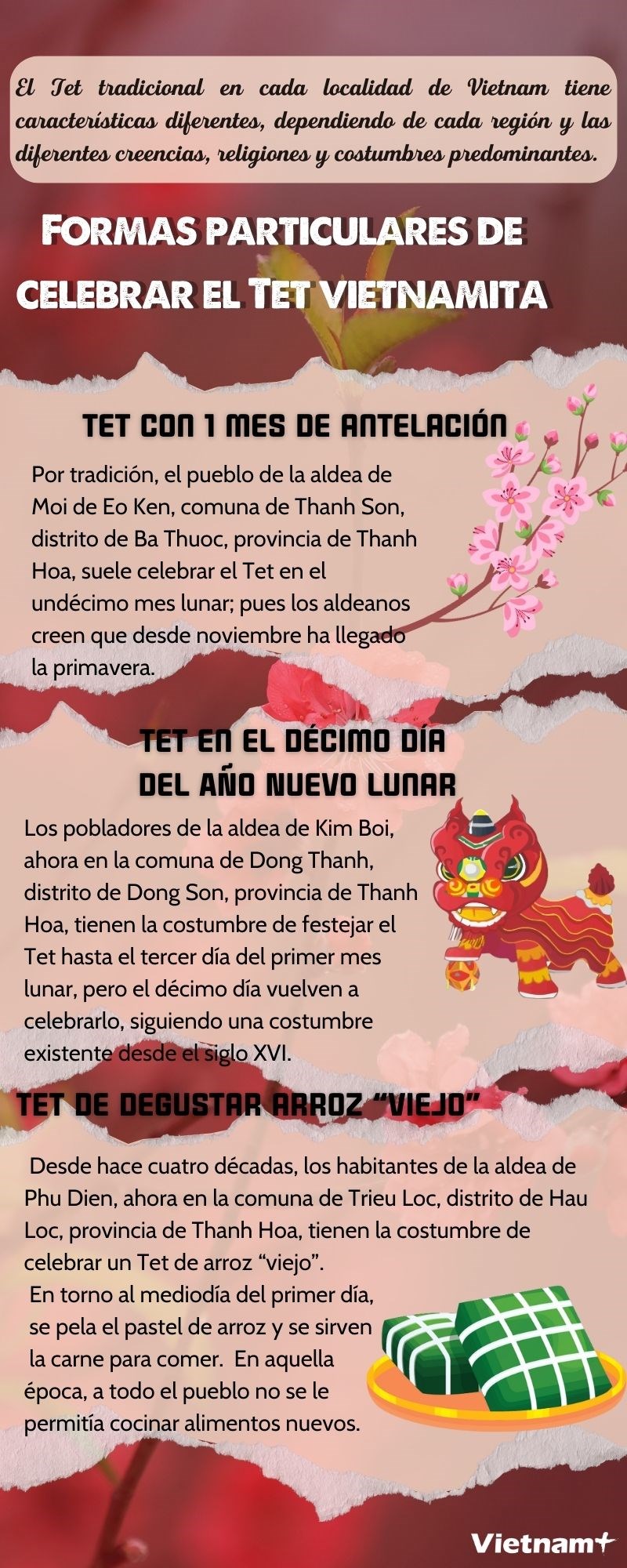Formas particulares de celebrar el Tet vietnamita hinh anh 1