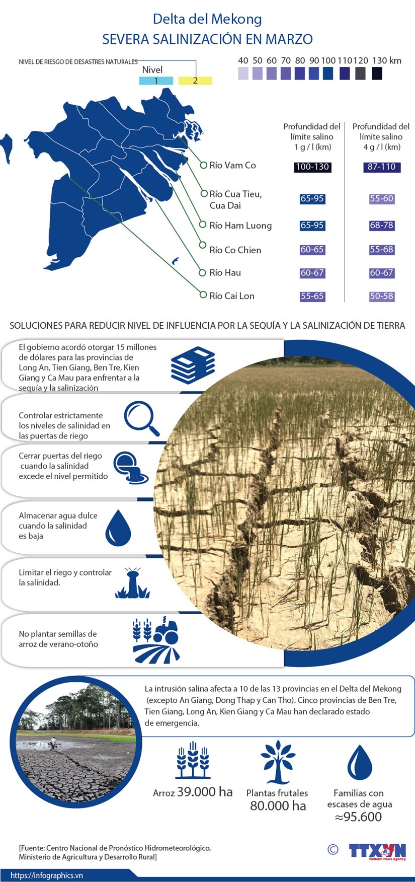[Info] Delta del Mekong enfrenta su peor salinizacion en marzo hinh anh 1