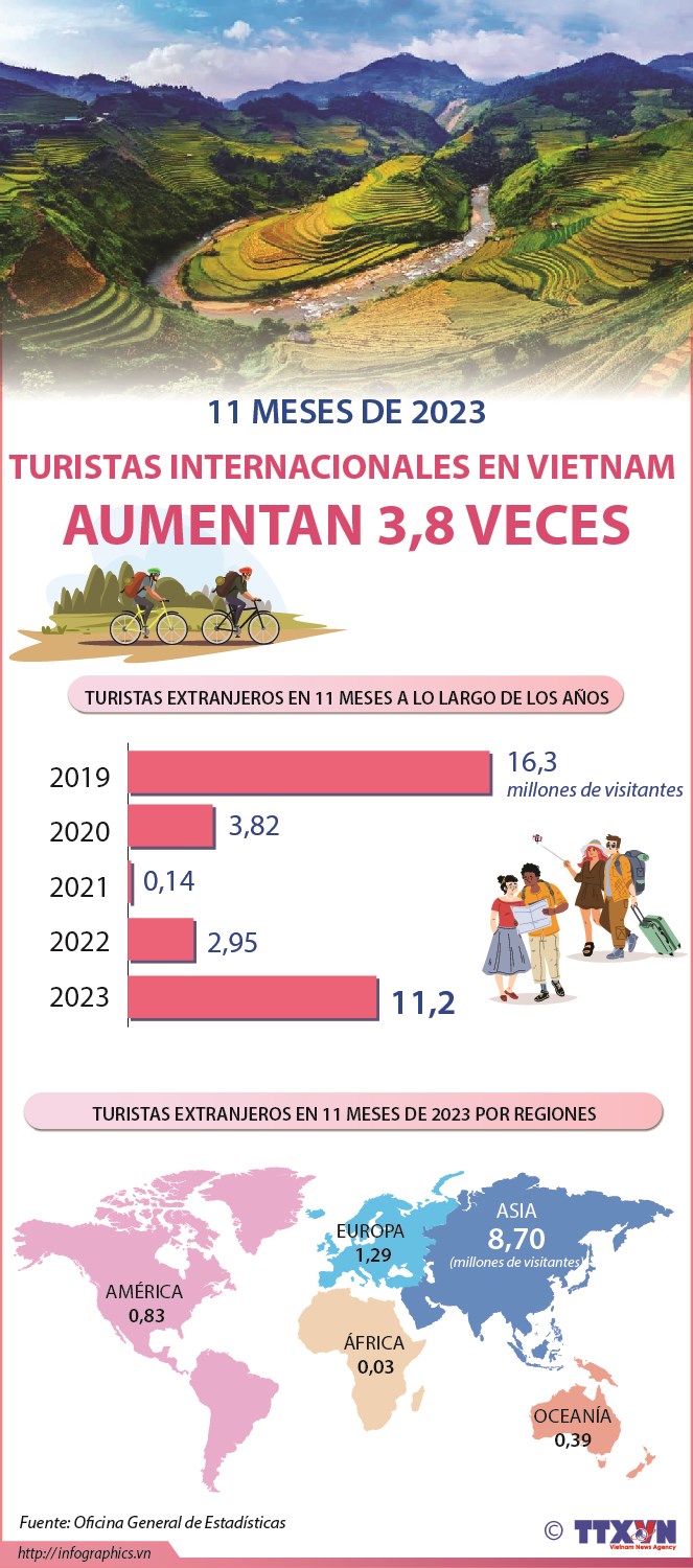 Turistas internacionales en Vietnam en 11 meses aumentan 3,8 veces hinh anh 1