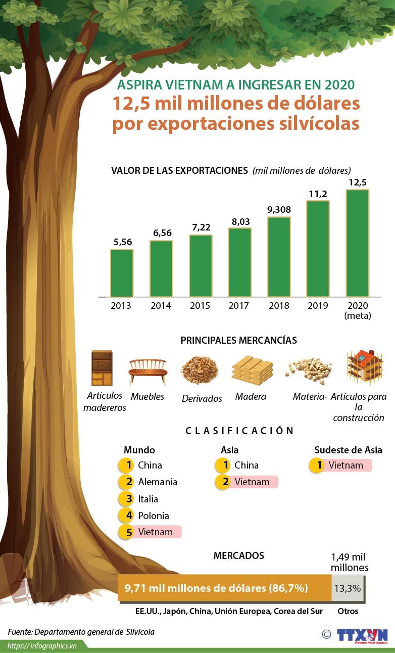 [Infografia] Aspira Vietnam a ingresar 12,5 mil millones de dolares por exportaciones silvicolas en 2020 hinh anh 1