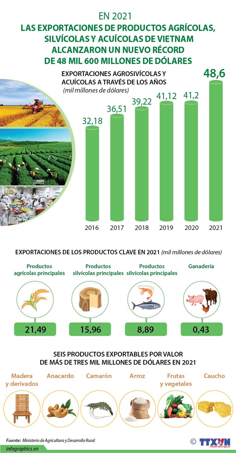Vietnam alcanza nuevo record en exportaciones agrosilvicolas y acuicolas en 2021 hinh anh 1