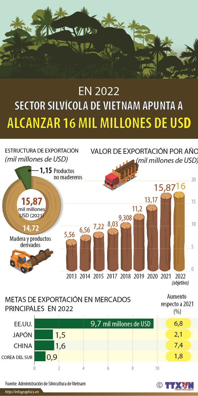 Sector silvicola de Vietnam apunta a alcanzar 16 mil millones de dolares en 2022 hinh anh 1