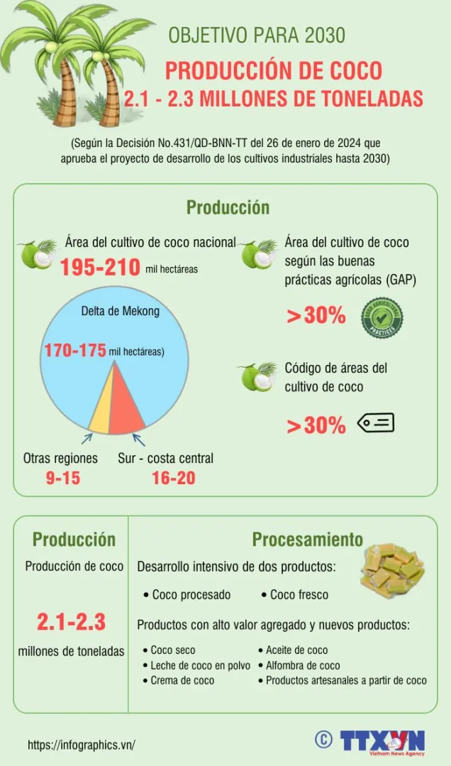 Produccion de coco alcanzara 2,3 millones de toneladas para 2030 hinh anh 1